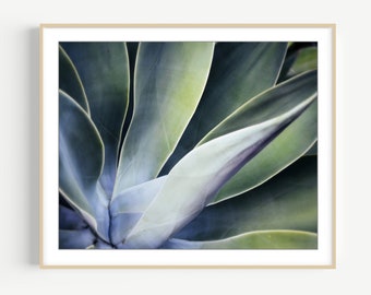 Agave Leaves Print - Botanical Photography, Succulent Art, Abstract Nature Photography, 8x10 16x20 Print, Blue Jade Emerald Green Wall Art