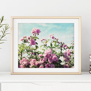 Roses Photograph, Botanical Print, Flower Photography, Pink Aqua, Floral Wall Art