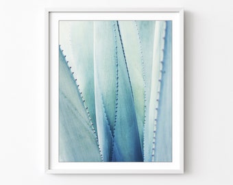 Agave Leaves Print - Botanical Photography, Pale Blue Wall Art, Abstract Nature Photography, Southwest Decor, 8x10 11x14 Wall Art