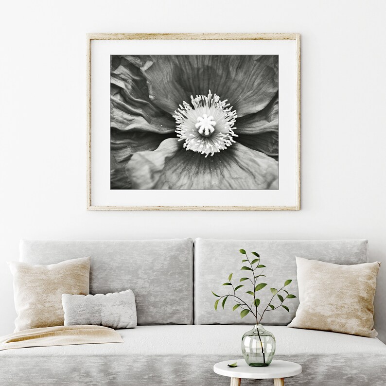 Poppy Flower Print Black and White Photography Botanical Etsy