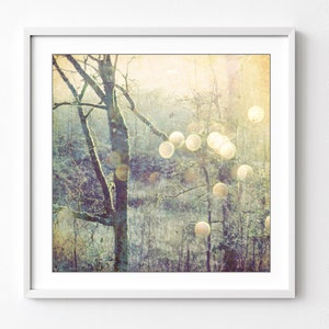 Woodland Photograph Sage Green Olive Decor Dreamy Nature Tree Wall Art Golden Sun Flare Sparkle bokeh Print, 5x5 8x8, Into the Mystic image 1