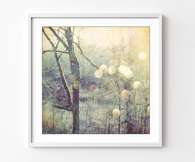 Woodland Photograph Sage Green Olive Decor Dreamy Nature Tree Wall Art Golden Sun Flare Sparkle bokeh Print, 5x5 8x8, Into the Mystic image 1