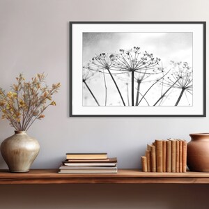 Botanical Print Black and White Photography, Wild Plants, Nature Print, Contemporary Nature Living Room Art, 8x10 16x20 Print image 8