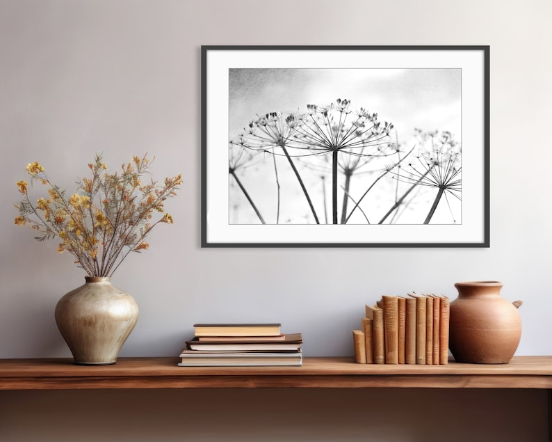 Botanical Print Black and White Photography, Wild Plants, Nature Print, Contemporary Nature Living Room Art, 8x10 16x20 Print image 8