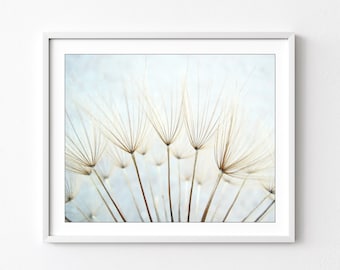 Dandelion Print - Nature Photography, Pale Blue Botanical Art, Nature Print, Dandelion Wall Art, Ethereal Nature Wall Art, 8x10 11x14 Print