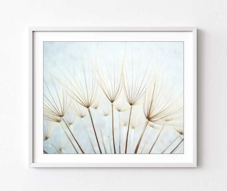 Dandelion Print Nature Photography, Pale Blue Botanical Art, Nature Print, Dandelion Wall Art, Ethereal Nature Wall Art, 8x10 11x14 Print image 1