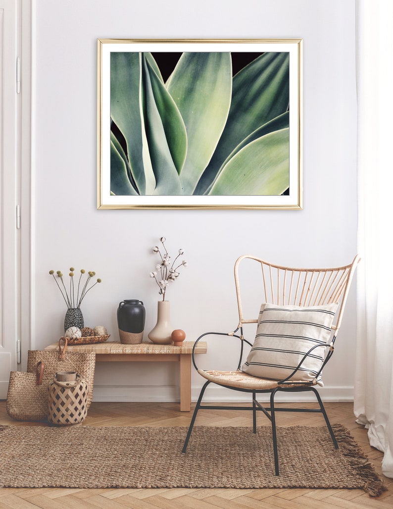 Agave Print, Nature Photography, Sage Green Wall Art, Botanical Print, Desert Southwest Decor, Succulent Wall Art, 8x10 16x20 Print image 6