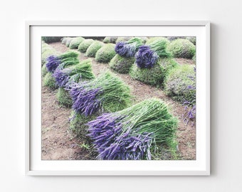 Lavender Field Print French Country Decor, Purple Green Wall Art, Rustic Farmhouse Decor, Dining Room Wall Art, Lavender Harvest