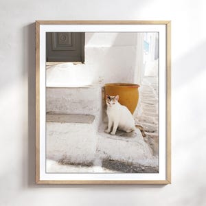 Cat Photography White Gold Wall Art Greece Photography Cat Wall Art Print 8x10 11x14 Print // Cat and Gold Pot