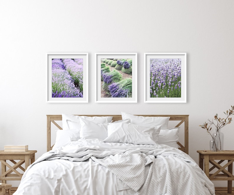 May include: Three framed photographs of lavender fields. The photos are in white frames and are hung on a white wall above a bed with white bedding.