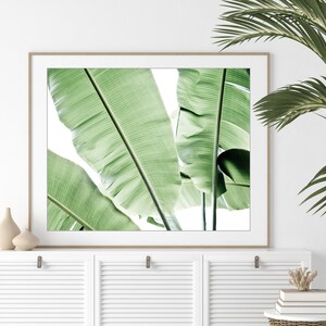 Banana Leaves Print - Botanical Photography. Green Leaves, Tropical Wall Decor, Green Bedroom Wall Art, Nature Photography, 8x10 16x20 Print