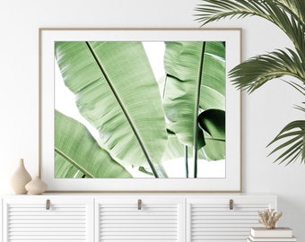 Banana Leaves Print - Botanical Photography. Green Leaves, Tropical Wall Decor, Green Bedroom Wall Art, Nature Photography, 8x10 16x20 Print