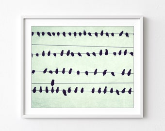 Birds On Wires, Fine Art Photography, Urban Decor, Abstract Modern Wall Art, Mint Green, 8x10 11x14, Black Birds Wall Art