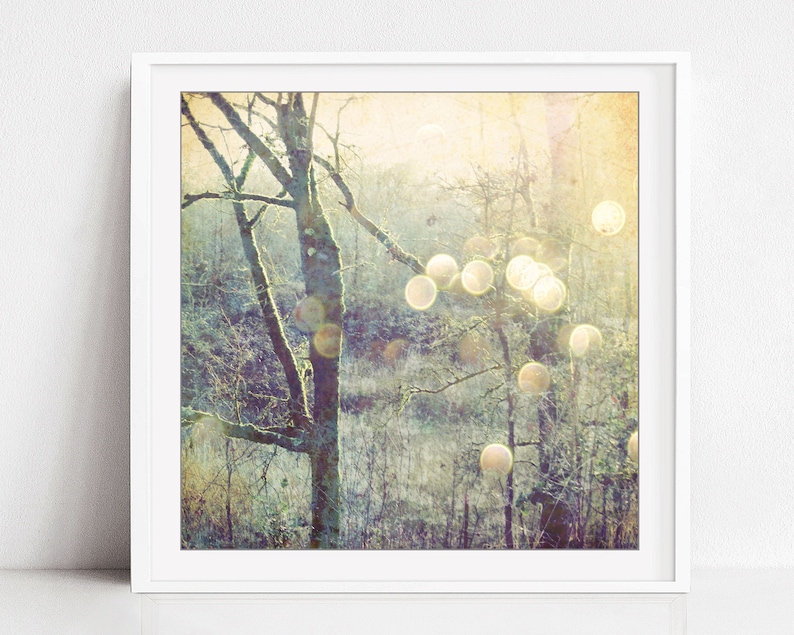 Woodland photograph sage green gold olive decor dreamy nature tree wall art golden sun flare sparkly bokeh Into the Mystic
