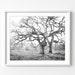 see more listings in the Black and White Prints section