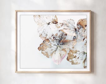 Nature Photography, Hydrangea Flowers Still Life Print, Minimal Rustic Botanical Wall Art, Beige Neutral Floral Decor 8x10 11x14 16x20 Print