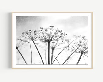 Botanical Print - Black and White Photography, Wild Plants, Nature Print, Contemporary Nature Living Room Art, 8x10 16x20 Print