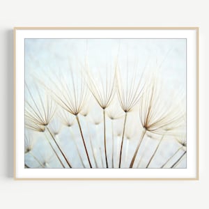Dandelion Print - Nature Photography, Pale Blue Botanical Art, Nature Print, Dandelion Wall Art, Ethereal Nature Wall Art, 8x10 11x14 Print