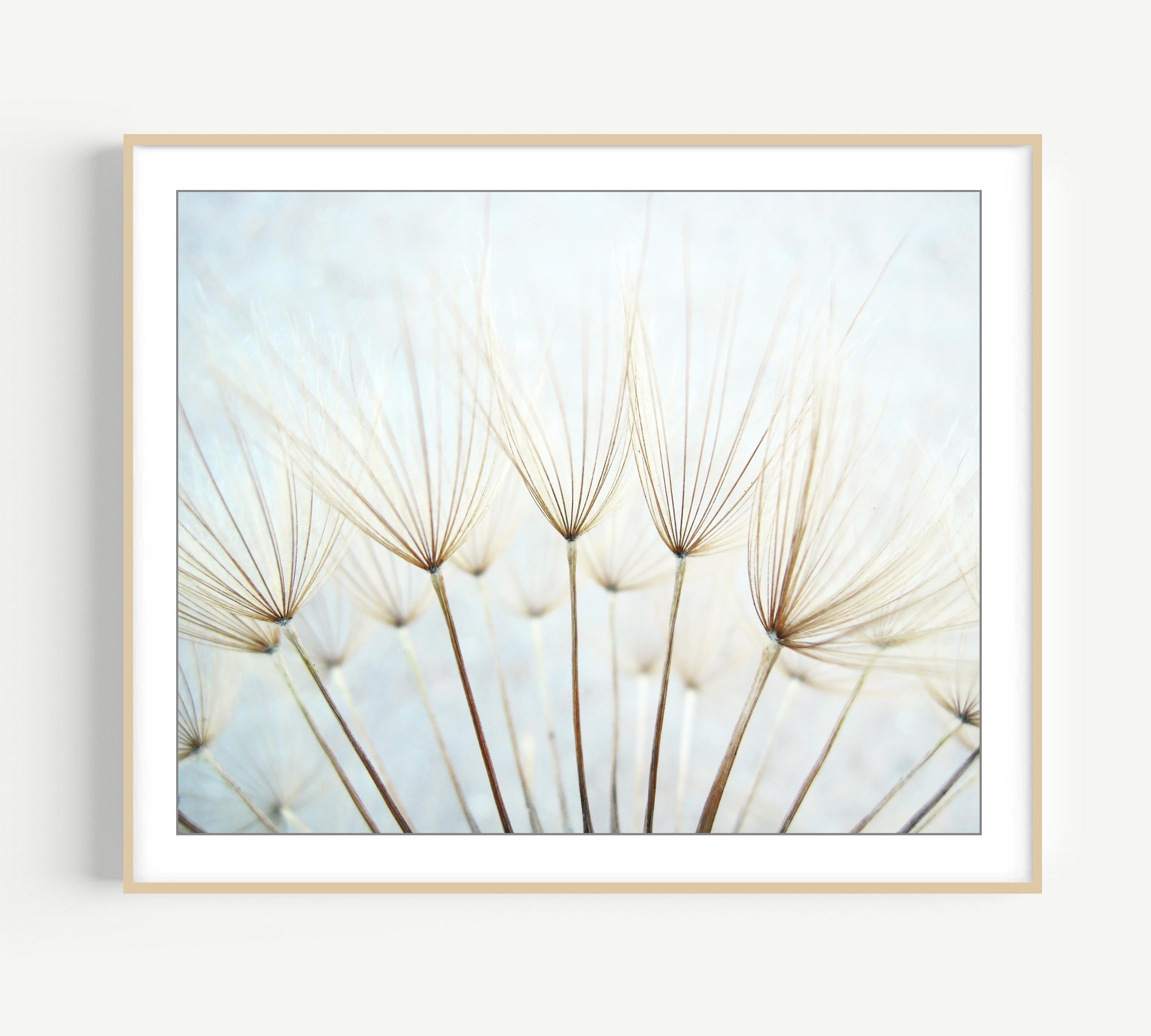 Dandelion Print - Nature Photography, Pale Blue Botanical Art, Nature Print, Dandelion Wall Art, Ethereal Nature Wall Art, 8x10 11x14 Print