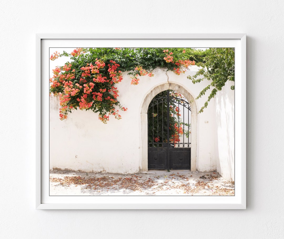 Greece Photography Trumpet Vine Flowers Archway Architecture - Etsy