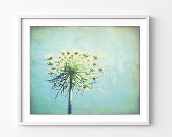 Queen Anne's Lace Botanical Print, Blue Green Wall Art, Nature Photography, Flower Photography, 5x7 8x10, Rustic Wildflower Print