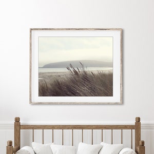 Fotografía de playa Arte de la pared costera, decoración de playa neutra, fotografía de naturaleza, gris pardo marrón, impresión de hierba de playa, impresión 8x10 16x20 imagen 2