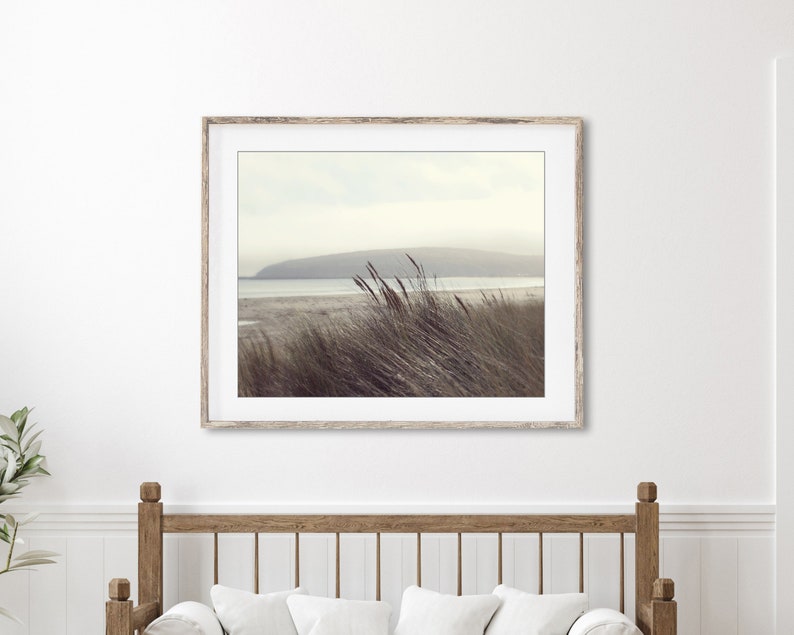 Fotografía de playa Arte de la pared costera, decoración de playa neutra, fotografía de naturaleza, gris pardo marrón, impresión de hierba de playa, impresión 8x10 16x20 imagen 2