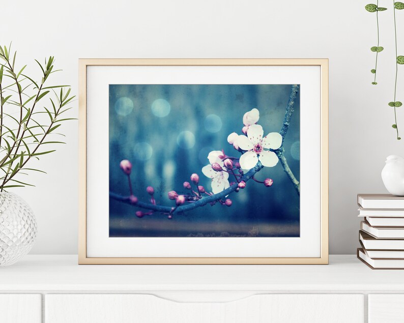 Botanical Photography Plum Blossoms Print, Flower Photography, Pink Blue Wall Art, Floral Wall Art, 8x10 8x8 11x14, Indigo Blue Art image 6