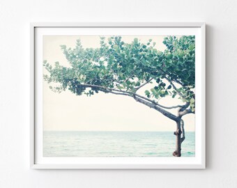 Ocean Print Maui Hawaii Seascape Nature Photography Minimal Tree Print Blue Green Wall Art Nouveau 8x10 16x20 Fine Art Photography Print