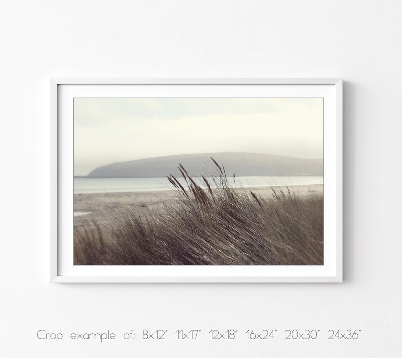 Fotografía de playa Arte de la pared costera, decoración de playa neutra, fotografía de naturaleza, gris pardo marrón, impresión de hierba de playa, impresión 8x10 16x20 imagen 7