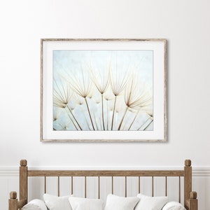 Dandelion Print Nature Photography, Pale Blue Botanical Art, Nature Print, Dandelion Wall Art, Ethereal Nature Wall Art, 8x10 11x14 Print image 3