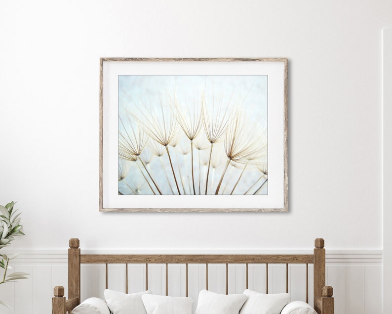 Dandelion Print Nature Photography, Pale Blue Botanical Art, Nature Print, Dandelion Wall Art, Ethereal Nature Wall Art, 8x10 11x14 Print image 3