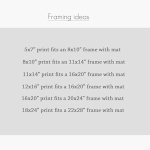 Pu&ograve; includere: Una tabella informativa grigio chiaro intitolata Framing ideas che elenca combinazioni di dimensioni di stampa e cornice in pollici: 5x7 a 8x10, 8x10 a 11x14, 11x14 a 16x20, 12x16 a 16x20, 16x20 a 20x24 e 18x24 a 22x24, tutte con passe-partout.
