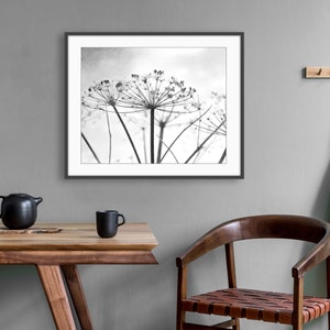 Botanical Print Black and White Photography, Wild Plants, Nature Print, Contemporary Nature Living Room Art, 8x10 16x20 Print image 6