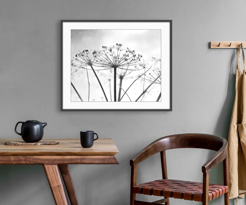 Botanical Print Black and White Photography, Wild Plants, Nature Print, Contemporary Nature Living Room Art, 8x10 16x20 Print image 6