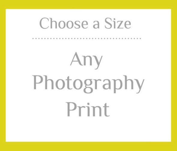 Fine Art Photography Print Sizes 4x4 to Etsy
