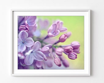 Lilac Flowers Print, Floral Wall Art, Botanical Print, Flower Photography, Purple Green, Nature Photography, 8x10 16x20, Flower Wall Art