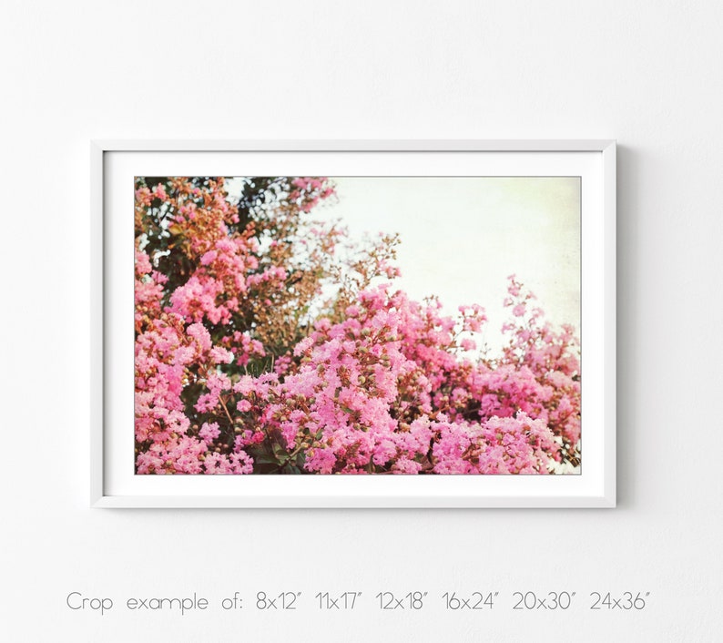 Crepe Myrtle, Flower Photography, Botanical Print, Pink Flowers Wall Art, Vintage Style, Floral Photography, Bedroom Wall Decor image 6