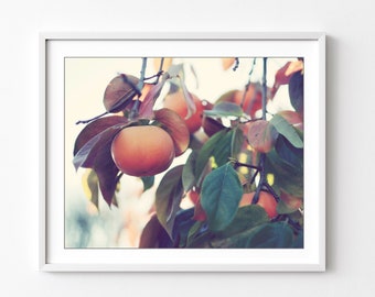 Persimmon Tree Photograph Botanical Wall Art, Fuyu Persimmon, Fruit Tree Photograph, Orange Rust Green Dining Room Wall Art 8x10 16x20 Print