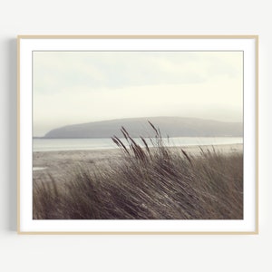 Fotografía de playa Arte de la pared costera, decoración de playa neutra, fotografía de naturaleza, gris pardo marrón, impresión de hierba de playa, impresión 8x10 16x20 imagen 5