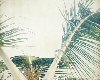 Botanical print palm tree leaves photograph beige green neutral decor tropical wall art - Palm