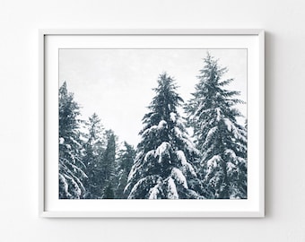 Winter Landscape Print, Nature Photography, Snow, Oregon, Evergreen Trees, White Dark Green, Winter Forest Wall Art, 8x10 11x14 Print