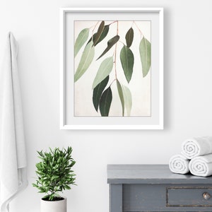 Eucalyptus Print Botanical Wall Art, Sage Green Wall Art, Nature Photography, 8x10 11x14, Modern Rustic Living Room Decor image 6