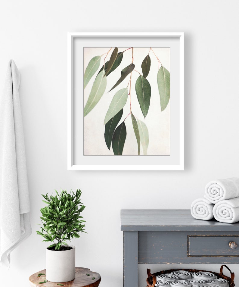 Eucalyptus Print Botanical Wall Art, Sage Green Wall Art, Nature Photography, 8x10 11x14, Modern Rustic Living Room Decor image 6