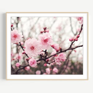 Cherry Blossoms Print - Pink Brown Wall Art, Flower Photography, Sakura Print, Floral Wall Art, Nature Photography, Pink Flower Wall Art