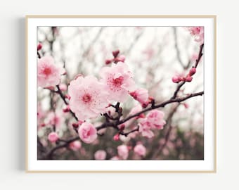 Cherry Blossom Print, Sakura Spring Flowers, Blush Pink Floral Photography