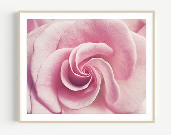 Flower Photography - Pink Rose Print, Floral Wall Art, Botanical Print, Pink Bedroom Wall Art, Spiral, Bedroom Decor, 8x10 16x20 Print