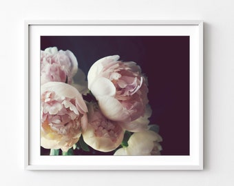 Peony Wall Art - Flower Still Life Photography Floral Pale Pink Botanical Print
