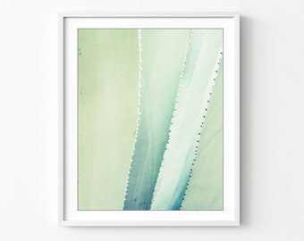 Agave Leaves Print Abstract Nature Wall Art Botanical Print, Mint Green Aqua Wall Art, Nature Photography, 8x10 16x20, Southwestern Decor