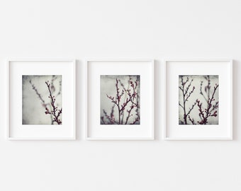 Plum Tree Branches Nature Photography Set of 3 Prints, Botanical Prints, Gray Burgundy, Nature Prints, Gallery Wall Set, Living Room Decor